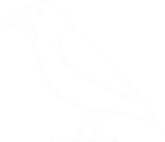 Pasted%20Graphic%203